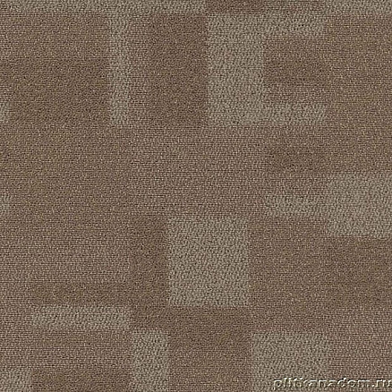 First Blocks