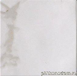 Fap Ceramiche Roma Calacatta Керамогранит 20x20 см