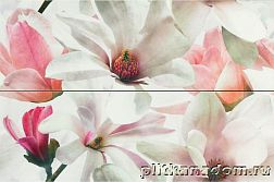 Myr Dream Dec.827 Coral Set.2 Декор 40x60 см