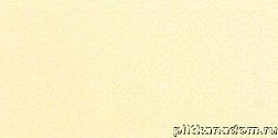 Rako Fresh WATMB084 Wall tile Настенная плитка 20x40 см