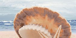Нефрит Аликанте 10-00-11-123 Декор 25х50 см