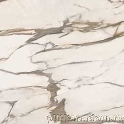 Estima Solutions Marble Callacata Gold MB07 Керамогранит 120x120 см