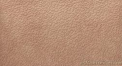 APE Ceramicas Argillae Nisus Gobi Rect A037705 Керамогранит 60x120 см