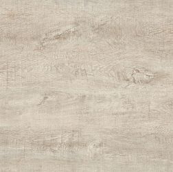 TGT Ceramics Rosewood Y1P66093A Palissandro beige Керамогранит полированный 60х60 см