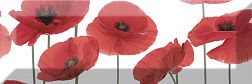 Absolut Keramica Poppy Decor Poppy 04 Декор 10х30 см