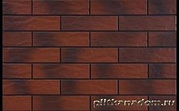 Cerrad Earth Rot 9539 Rustic Настенная плитка 24,5х6,5х0,65 см