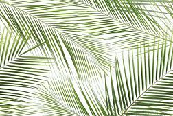 Ceramika-Konskie Brennero Tropic Панно (из 2 шт.) 50x75 см