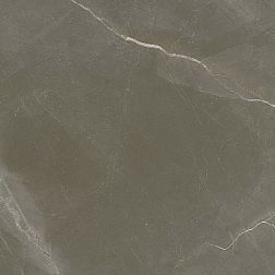 Porcelanite Dos 1804 Gris Rectificado Pulido Керамогранит 98x98 см