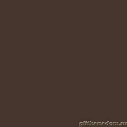 Paradyz Inwesta Brazowa Glossy Плитка настенная 19,8х19,8 см