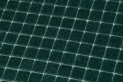 Irida Gamma 20.78(2+) Мозаика 1х1 31,8х31,8 см
