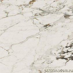 Atlas Concorde Russia Allure Capraia Rett Керамогранит 80x80 см