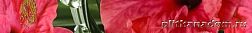 Cerrol Imperia Hibiskus Бордюр 6,5х50 см