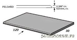 Apavisa Metal Titanium Natural Peldano-120 Ступень 29,67х119,30 см