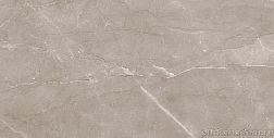 Laparet Savoy 08-01-15-2460 Коричневая Глянцевая Настенная плитка 20х40 см