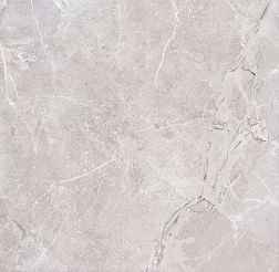 Goldis Tile Lorenzo AOLZ NAOG Gray Matt Серый Матовый Керамогранит 59,4x59,4 см