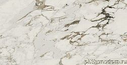 Atlas Concorde Russia Allure Capraia Настенная плитка 40x80 см