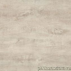 TGT Ceramics Rosewood Y2W66093C Palissandro beige Керамогранит 60х60 см