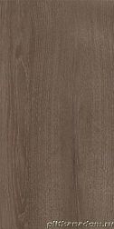 Paradyz Domus Brown Настенная плитка 30х60 см