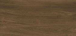 Urbatek X-Light Ewood Honey Nature G-2500 Коричневый Матовый Керамогранит 120x270 см
