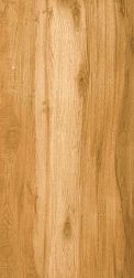 Flavour Granito Kraft Beige Glossy Коричневый Полированный Керамогранит 60x120 см