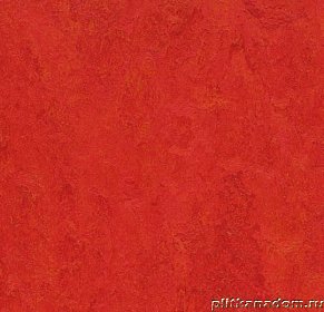 Forbo Marmoleum Click Square 333131 Scarlet Виниловая плитка 300х300