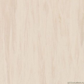 Tarkett Standart plus Sand Light 0912 Линолеум 2 м