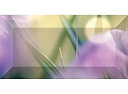 Ceramica Classic Crocus Бордюр рельефный br1020D286-1 20х10 см