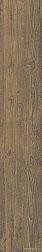 Atlas Concorde Axi 25 Chestnut Brown Rt Керамогранит 25х150 см