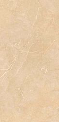 Flavour Granito Antares Brown Glossy Бежевый Полированный Керамогранит 60x120 см