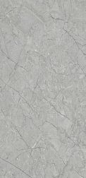 Flavour Granito Fiorite Grey Glossy Серый Полированный Керамогранит 60x120 см