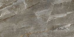Absolut Gres Aquafina Natural AB 1128G Gloss Коричневый Полированный Керамогранит 60x120 см
