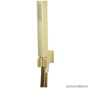 Webert Pegaso AC1045794 Душевой гарнитур с шалнговым подсоединением (золото)