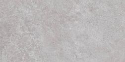 Colorker Liberty Grey Серый Матовый Керамогранит 59,5x119,2 см