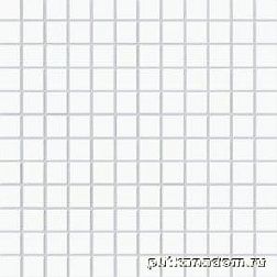 Rako Color Two GDM02052 Мозаика 2,5x2,5 30x30 см