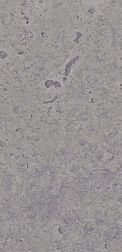 Flavour Granito Hazel Dark Grey Carving Серый Матовый Керамогранит 60x120 см