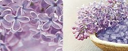 Ibero Charme Decor Dreams A Декор 20х50 см