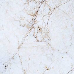 Primavera PR116 Namibian Marble Polished Керамогранит 60x60 см