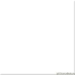 Absolut Keramika Raisin Monocolor Milano Blanco Brillo Настенная плитка 10х10 см