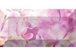 Ceramica Classic Impression Бордюр рельефный br1020D190-2 20х10 см