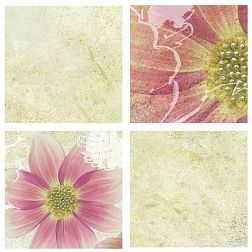 N-ceramica Crema Mosaic Вставка 6,2х6,2 см