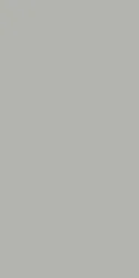 Tau Ceramica Керамогранит TORNARES ZUMAIA SILVER REC 60x120 см