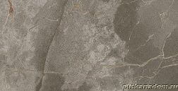 Atlas Concorde Russia Allure Grey Beauty Настенная плитка 40x80 см