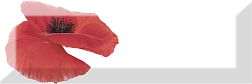 Absolut Keramica Poppy Decor Poppy 01 Декор 10х30 см