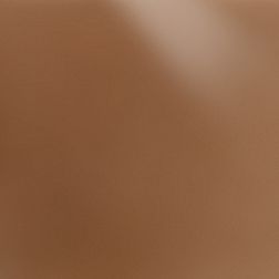 Керамика будущего(CF Systems) Декор Брикс Керамогранит полированный ректифицированный 120х29,5 см