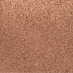 APE Ceramicas Argillae Nisus Coral Rect A037697 Керамогранит 120x120 см