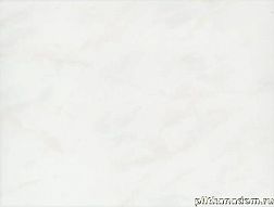 Rako Marmo WATKB178 Wall tile Настенная плитка 25x33 см