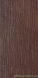 Rako Defile DDRSE361 Brown Декорр 30х60 см