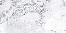 Goldis Tile Forest AOOF OOOH White Semi Polished Серый Полированный Керамогранит 59,7x119,8 см