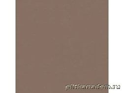 Rako Taurus Color TAL35030 Напольная плитка полиованная 30x30 см