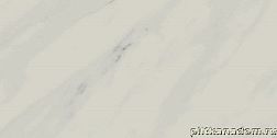 Atlas Concorde Russia Allure Gioia Rett Керамогранит 80x160 см